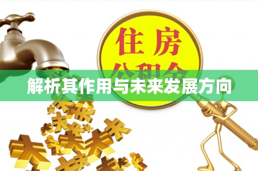 精准解析其作用与未来发展方向