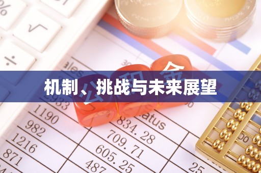 精准机制、挑战与未来展望
