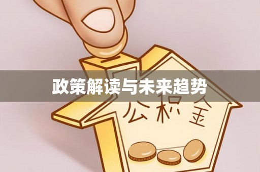 精准政策解读与未来趋势