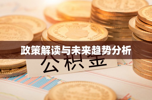 精准政策解读与未来趋势分析