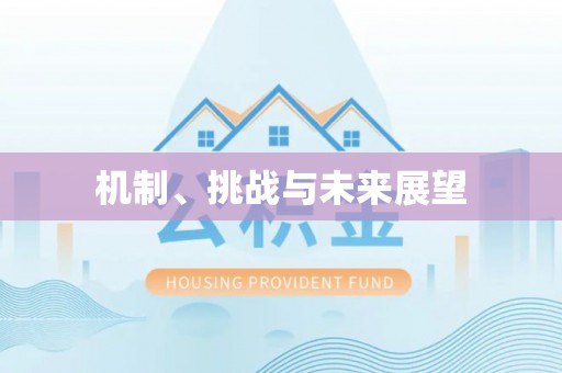 精准机制、挑战与未来展望