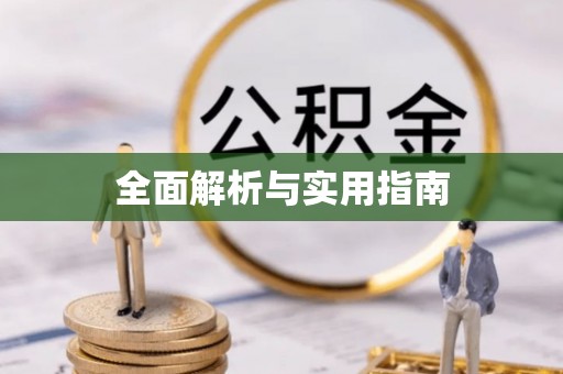 精准全面解析与实用指南