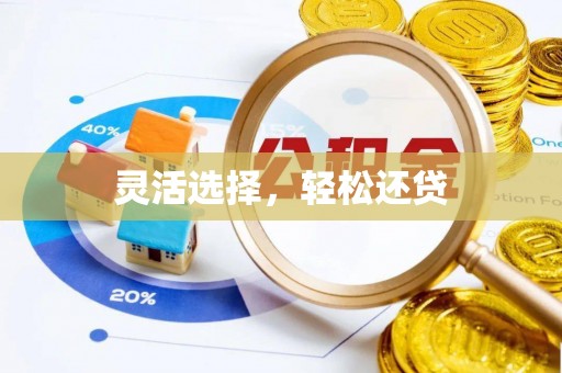 精准灵活选择，轻松还贷