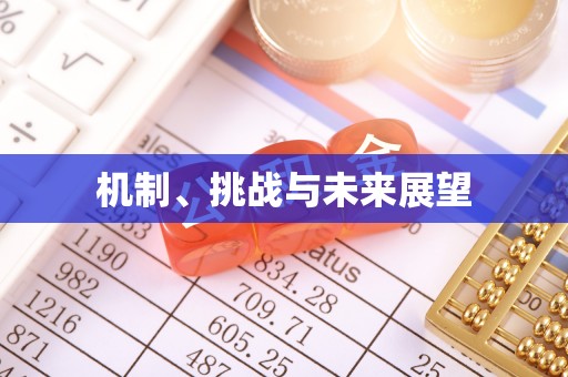 精准机制、挑战与未来展望
